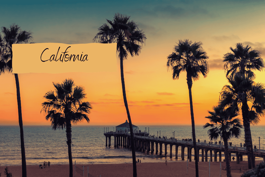 Palm trees in California at sunset 