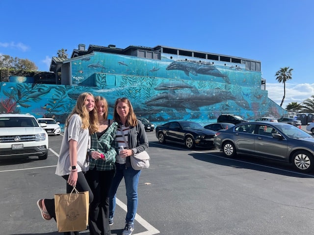 Downtown shopping area of Laguna Beach