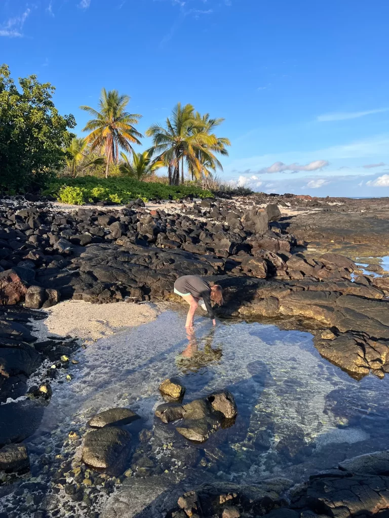 Playing in the tide pools on lava rocks on the Big Island of Hawaii