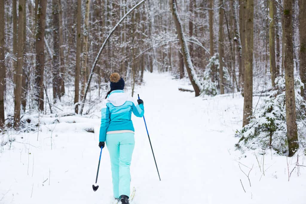 Nordic Skier in the Mountains