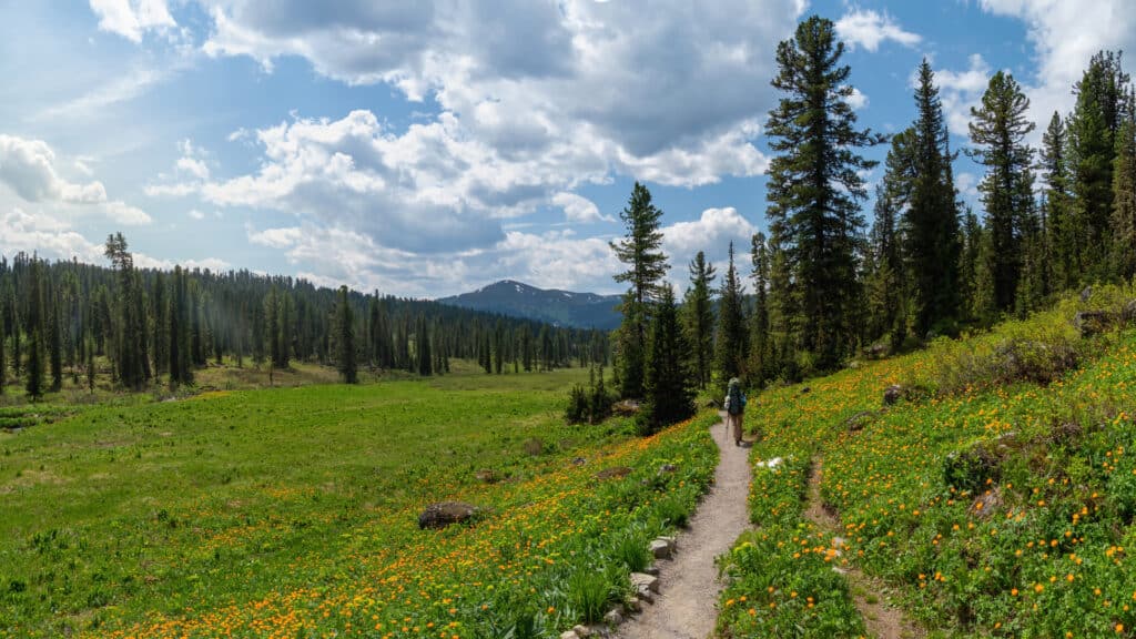 Hiker on a Colorado Hiking Trail