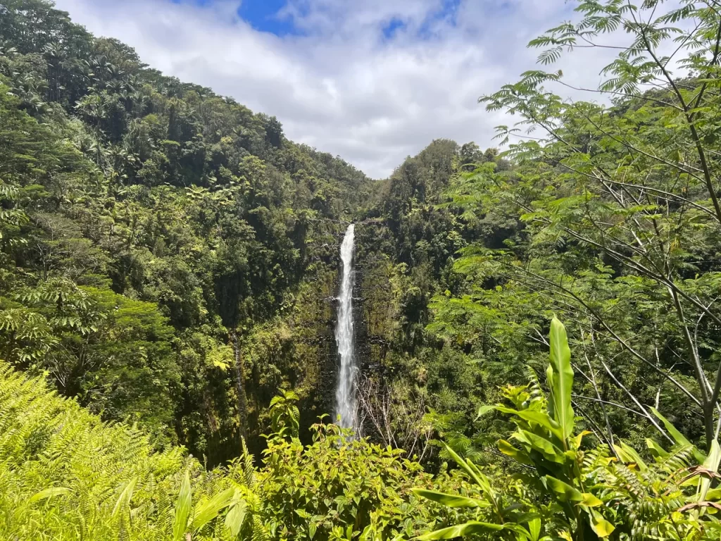 Waterfall at Akaka Falls in Hilo, Hawaii 