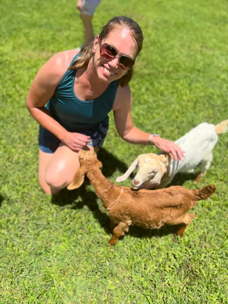 Honomu Goat Dairy in Hilo, Hawaii