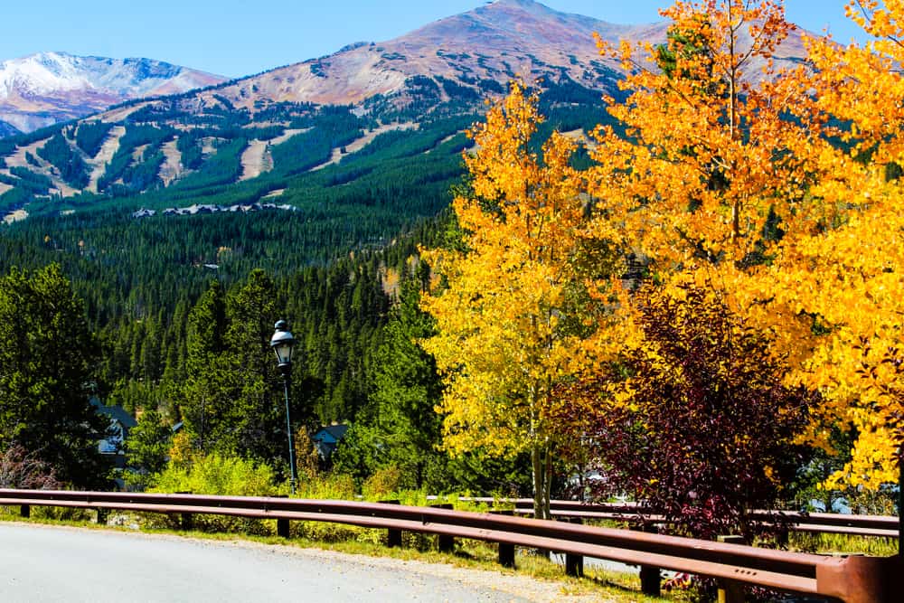 Fall colors with mountains in the background in Colorado