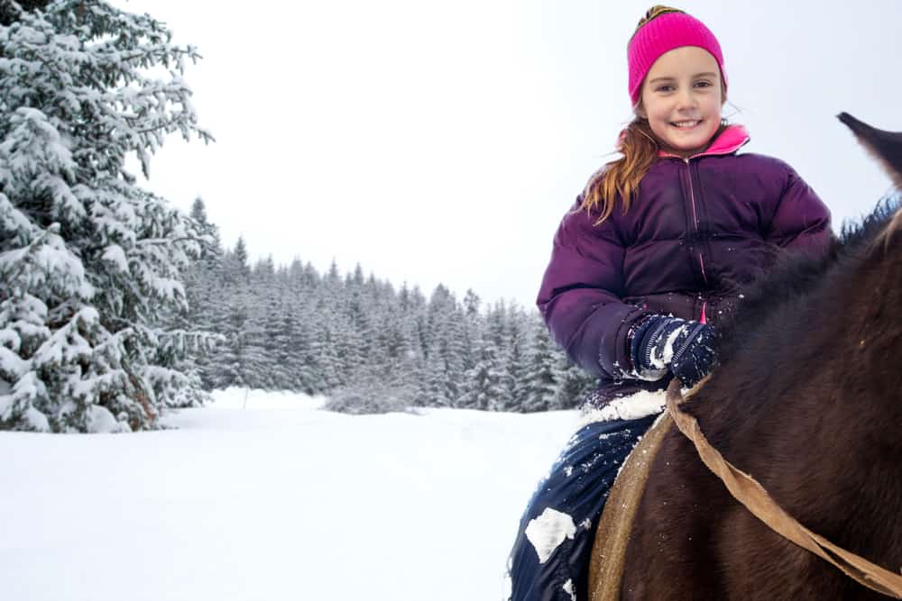 Girl on a horse in the winter a Family friendly activity