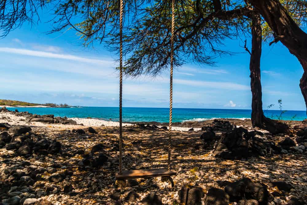 Rope swing under the shade of a tree at Kekaha kai (Kona Coast) State park