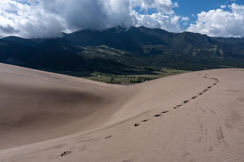 Sand dunes in the Grand Sand Dunes National Park with mountains in the background 