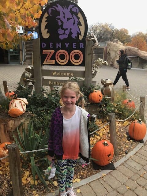 The Denver Zoo at Halloween Time