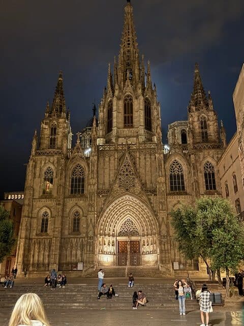 The Barcelona Cathedral in the Gothic Quarter of Barcelona