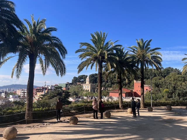 Palm trees on an overlook at Park Güell in Barcelona, Spain