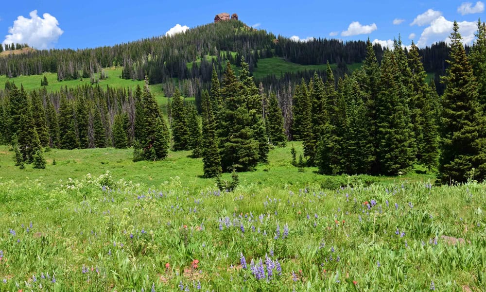 View of Rabbit Ears pass near Steamboat Spring, Colorado