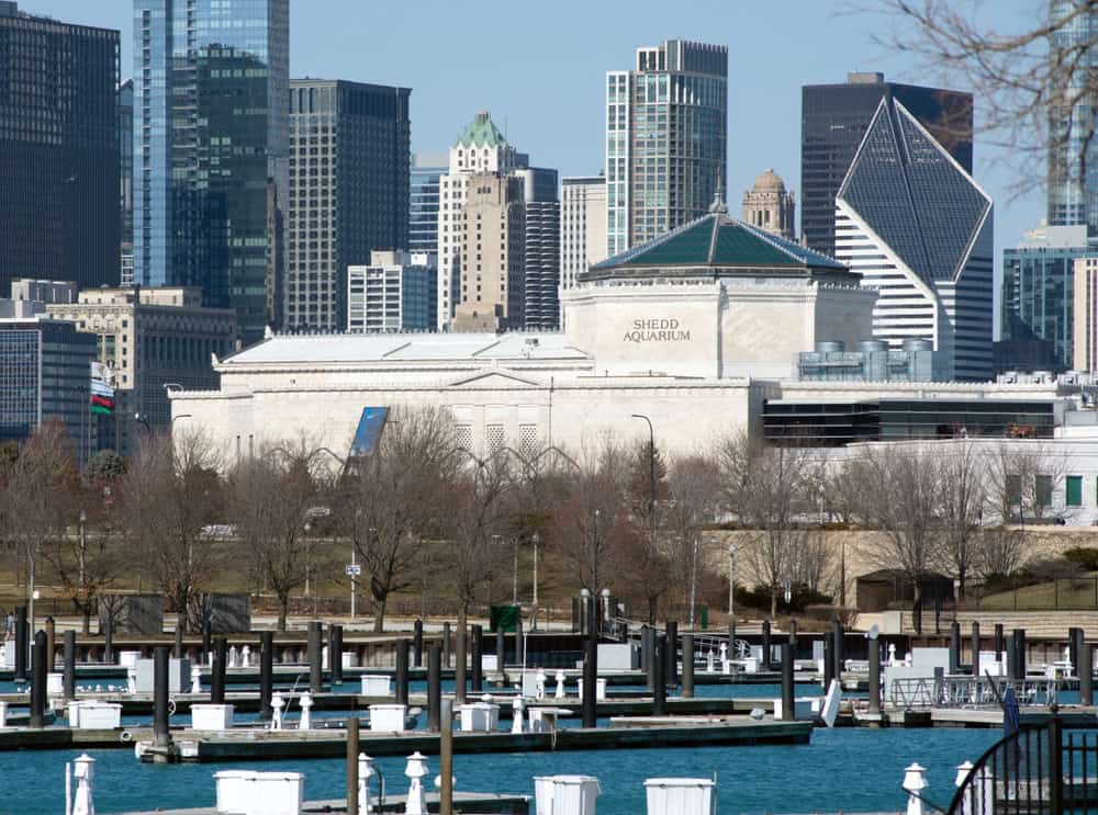 View of Chicago skyline and the Shedd Aquarium 
